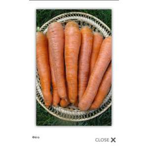 Фиго F1 - морковь, Tezier фото, цена